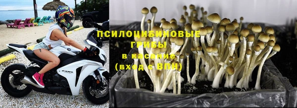 кристаллы Абаза
