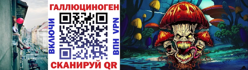 Псилоцибиновые грибы Cubensis  Калининград 