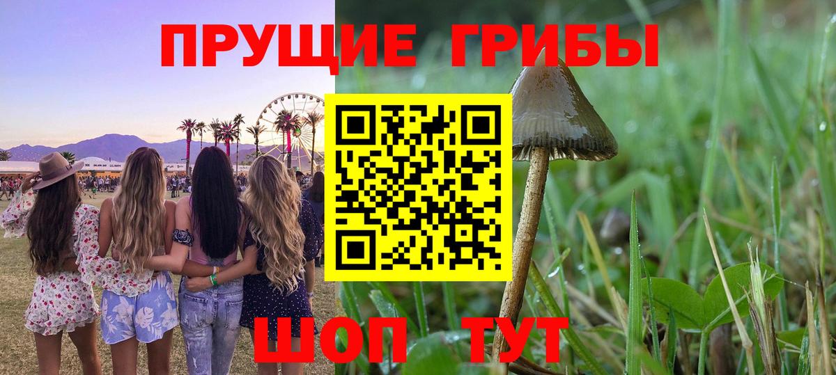Галлюциногенные грибы мицелий Калининград