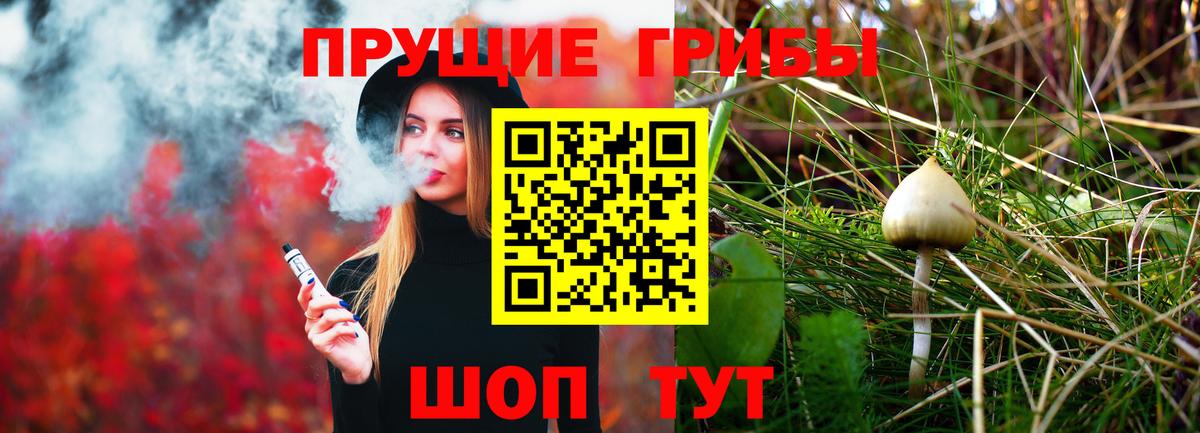 Калининград  Галлюциногенные грибы Magic Shrooms  где купить наркоту  Псилоцибиновые грибы мицелий  Вход с VPN 